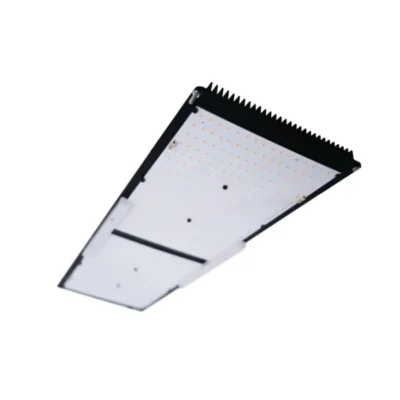 Lampara Quantum Board 240W LM301H