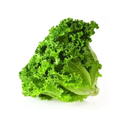 Lechuga - Black Seeded Simpson